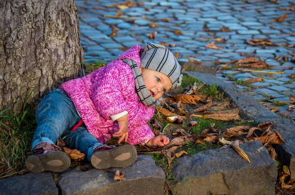 Little girl baby playing with chestnuts and leaves in autumn par — Stock Photo, Image
