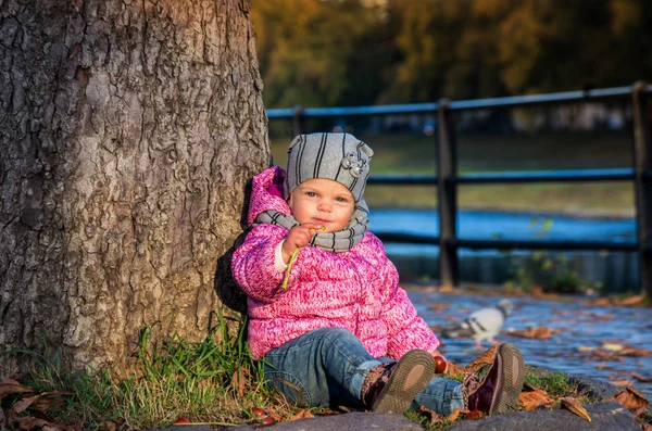 Little girl baby playing with chestnuts and leaves in autumn par — Stock Photo, Image