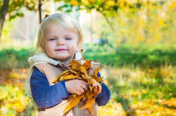 Cute happy baby girl holding leaves in autumn park — Stock Photo, Image