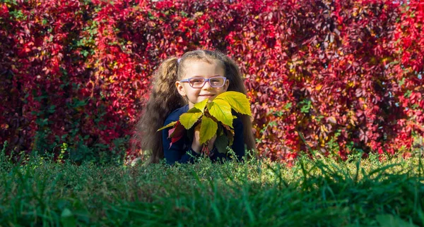 Roztomilá dívka v brýlích leží na trávě s podzimní listí v han — Stock fotografie