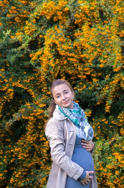 Beautiful young happy pregnant woman staying in autumn park — Stock Photo, Image