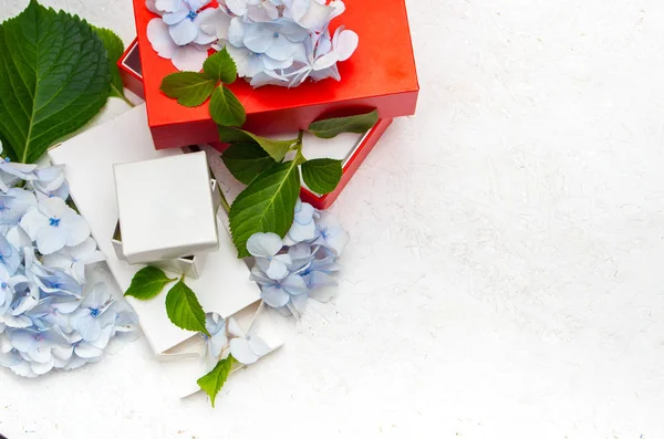 Gift boxes are white and red in color with hydrangea flowers — Stock Photo, Image