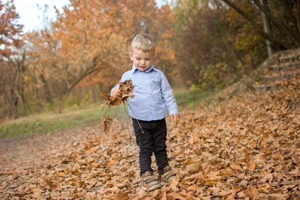 Pequeño niño rubio en el bosque de otoño juega con el follaje de otoño — Foto de Stock