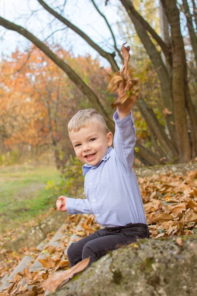 Menino loiro na floresta de outono brinca com folhagem de outono — Fotografia de Stock