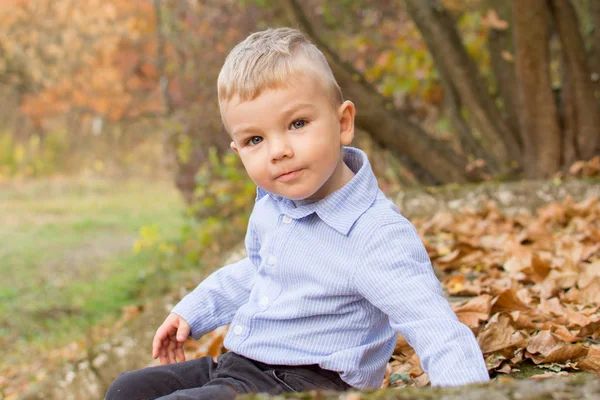 Liten blond pojke i höstskogen leker med höstlövverk — Stockfoto