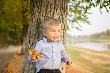 Sonbahar ormanlarında sonbahar yapraklarıyla oynayan sarışın bir çocuğun portresi.