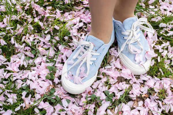 Düşmüş Sakura Ağaçlarının Yaprakları Üzerinde Mavi Spor Ayakkabılar — Stok fotoğraf