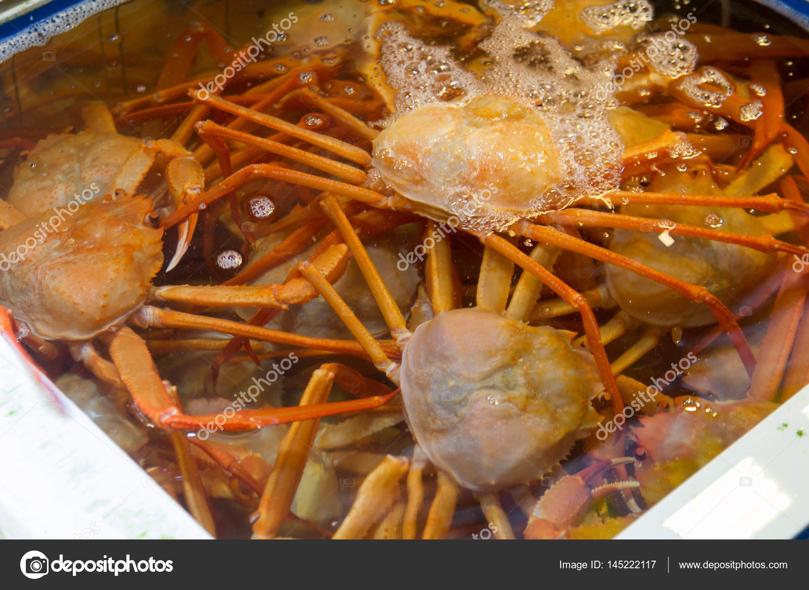 Fresh snow crabs in water — Stock Photo © artkuklin 145222117