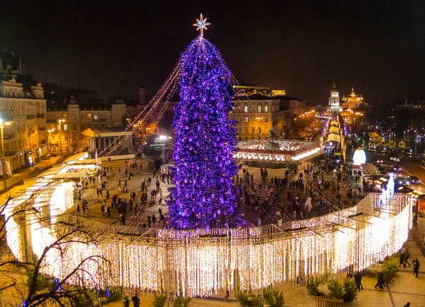Yeni yıl ağacı Kiev Sophia meydanında