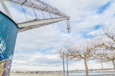 Pollard söğüt ağacı ve vinç