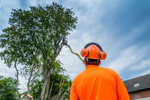 Elektrikli testereyle ağaç işçileri düştü