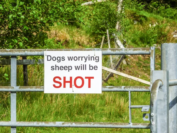 Assine em um portão sobre cães e ovelhas — Fotografia de Stock