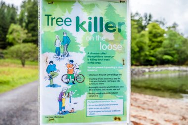 Acharacle, İskoçya - 24 Mayıs 2017: İşareti uyarı Phytophthora ağaç hastalığının