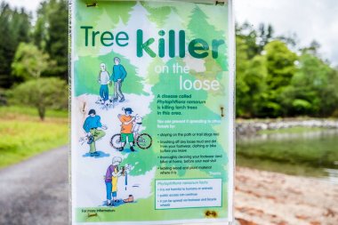 Acharacle, İskoçya - 24 Mayıs 2017: İşareti uyarı Phytophthora ağaç hastalığının