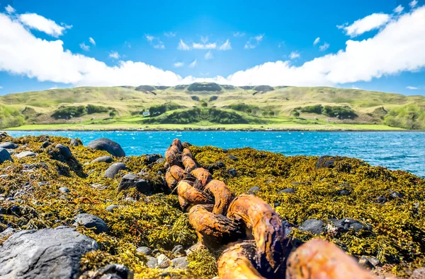 Hermosa cadena oxidada acostada sobre algas — Foto de Stock