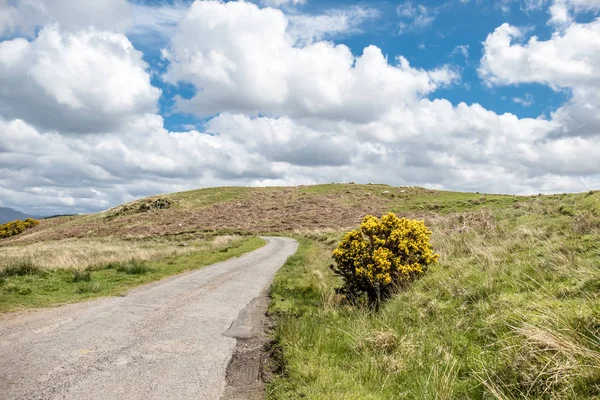 Szkocki jednej drogi, ścieżki z miotły na wrzosowisku w górach — Zdjęcie stockowe
