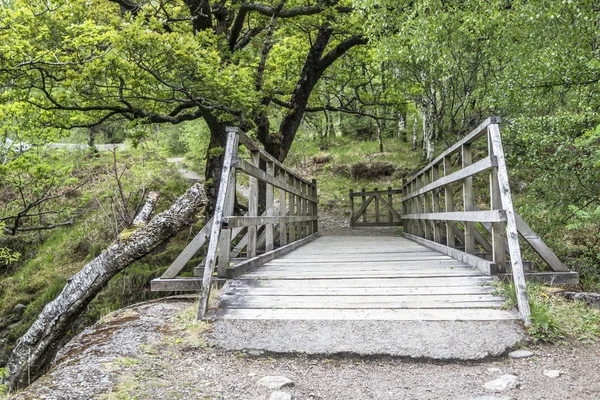 Bridge over the River Nevis, Scotland — Stock Photo, Image