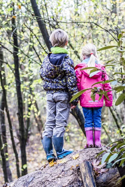 Brat i siostra, stojąc w parze w lesie — Zdjęcie stockowe