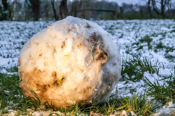 Modellauto in riesigem Schneeball gefangen — Stockfoto