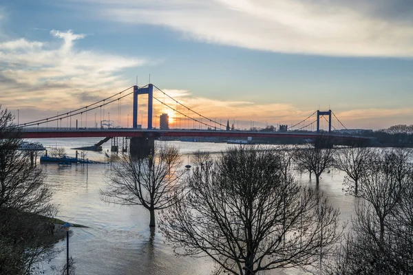 O rio Reno está inundando o Muehlenweide da cidade de Duisburg — Fotografia de Stock