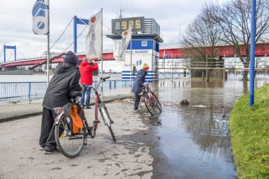 Duisburg Almanya - 08 Ocak 2017: gezinti sel bisiklet sürücüleri sürpriz tarafından Ren Nehri