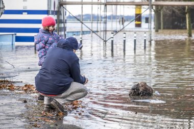 Duisburg, Almanya - 08 Ocak 2017: Adam ve kızı gözlemleyerek Ruhrort sahil alanının sel Ren Nehri