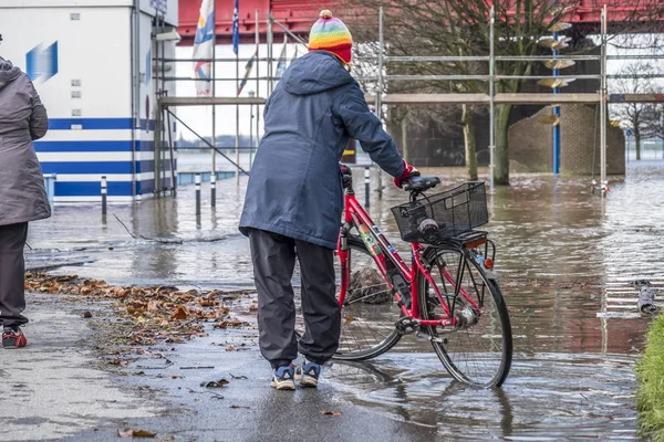 DUISBURG, ALEMANHA - JANEIRO 08 2017: Senhora surpreendida pelo rio Reno inundando o calçadão em Ruhrort — Fotografia de Stock