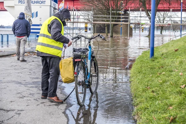 Duisburg, Alemanha - 08 de janeiro de 2017: motorista de bicicleta surpreso com o rio Reno inundando o passeio em Ruhrort — Fotografia de Stock