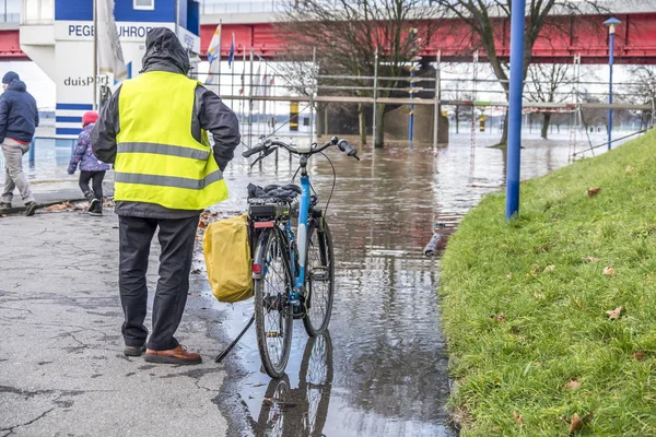 Duisburg, Tyskland - januari 08 2017: Cykel driver förvånad av floden Rhen översvämningar strandpromenaden i Ruhrort — Stockfoto