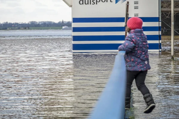 Duisburg, Alemanha - 08 de janeiro de 2017: Menina surpreendida pelo rio Reno inundando o passeio — Fotografia de Stock