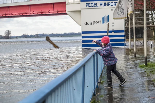 Дуйсбурзі, Німеччина - 2017 08 січня: Маленька дівчинка здивований, річка Рейн повені на набережну — стокове фото