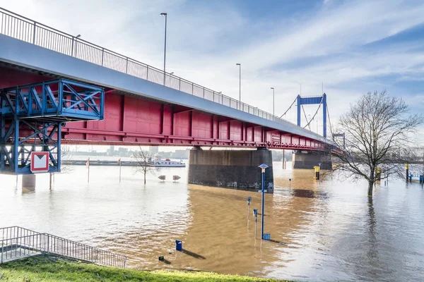 Duisburg, deutschland - 08. Januar 2017: der rhein flutet die mühlenweide — Stockfoto