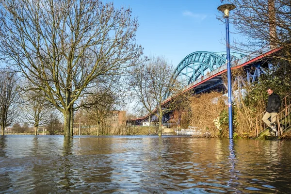 Duisburg, Tyskland - januari 08 2017: Floden Rhen är översvämning i Muehlenweide — Stockfoto