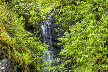 Ardchattan ve Argyll Barcaldine arasındaki dağ geçidinde şelale