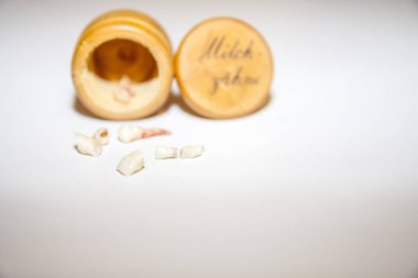 Collection of extracted milk teeth in front of wooden box - Translation: milk teeth clipart