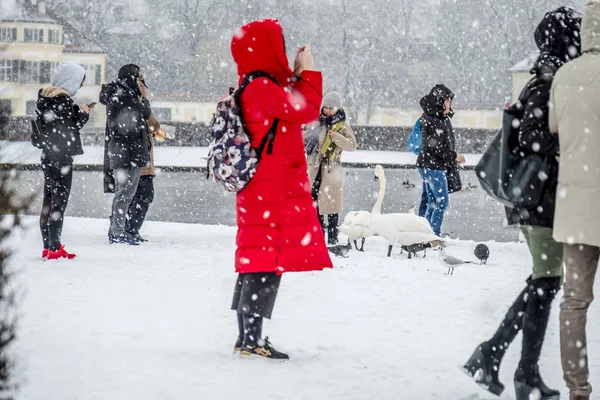 Monachium, Niemcy - 17 luty 2018: Pani z czerwonym płaszczu fotografowanie w burzy śnieżnej — Zdjęcie stockowe