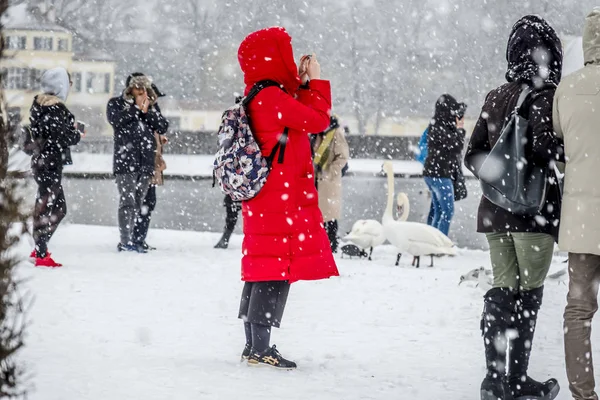 Monachium, Niemcy - 17 luty 2018: Pani z czerwonym płaszczu fotografowanie w burzy śnieżnej — Zdjęcie stockowe