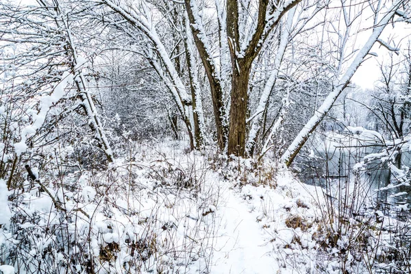 Parte estanque congelado y camino alrededor de él en el invierno — Foto de Stock