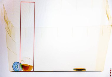 Ekran görüntüsü, soldan sağa bir çanta x-ışını: bir sprey şişesinde, bir şişe su ve bir akıllı telefon