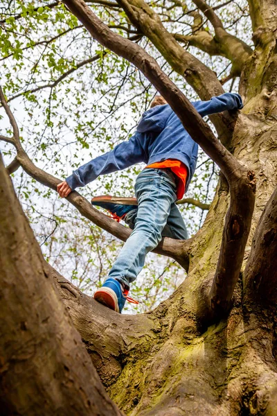Młody chłopak wspinania się na drzewa — Zdjęcie stockowe