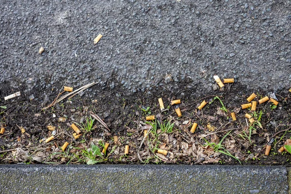 Сигаретные окурки на улице рядом с тротуаром — стоковое фото