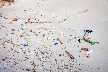 Kumsaldaki sahil kenarındaki tatil beldesinde çöp plastiği kirliliği