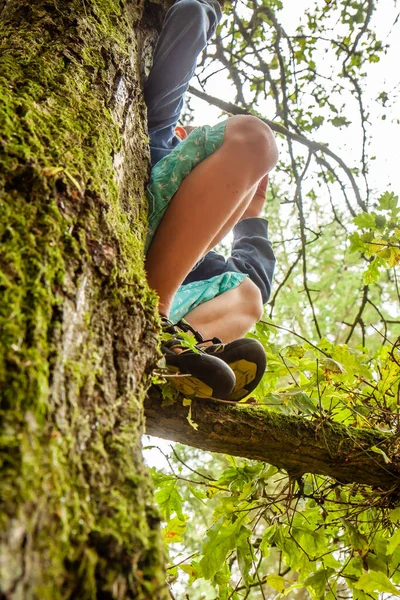 Niño en el árbol mirando hacia fuera — Foto de Stock