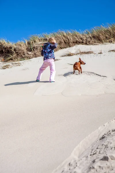 Mała dziewczynka wspina się na wydmy w lecie z psem — Zdjęcie stockowe