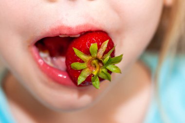 Küçük kızın taze çilek yemesine yakın durun.