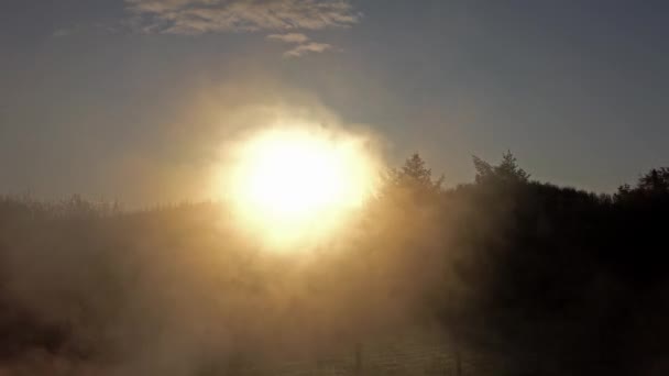 Mlhavé ráno s trávníkem, plotem, stromy a olejovou nádrží — Stock video