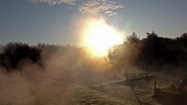 Mlhavé ráno s trávníkem, plotem, stromy a olejovou nádrží — Stock video