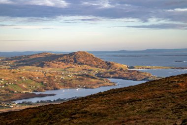 Donegal, İrlanda 'daki Slieve League uçurumlarında görüldü.