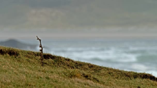 Océano Atlántico áspero un día después de la tormenta Atiyah pasó por Dezember 08 2019 . — Vídeos de Stock