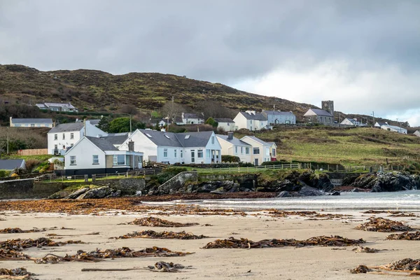 Φύκια που βρίσκονται στην παραλία Portnoo στην κομητεία Donegal, Ιρλανδία — Φωτογραφία Αρχείου